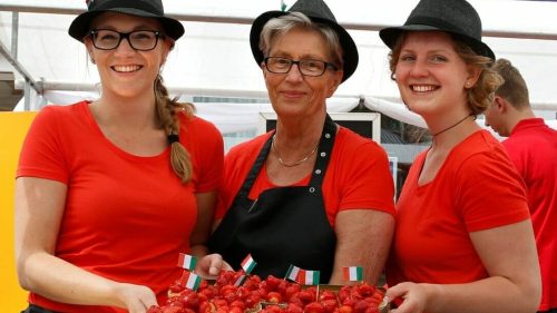 zomermarkt haren