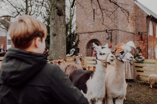 Levende kerststal - Stella Dekker fotografie